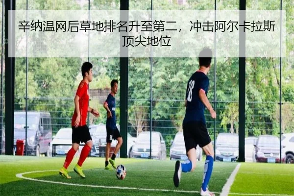 辛纳温网后草地排名升至第二，冲击阿尔卡拉斯顶尖地位